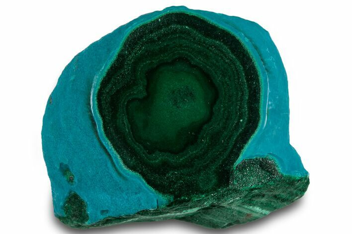 Vibrant Polished Malachite with Chrysocolla - DR Congo #319814